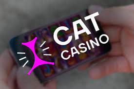 Выигрывайте в азартных развлечениях в интернете на сайте Cat Casino